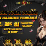 Tips Menggunakan R4 DS Slot-1 vs R4 DS Slot-2